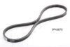 ASHIKA 112-3PK675 V-Ribbed Belts